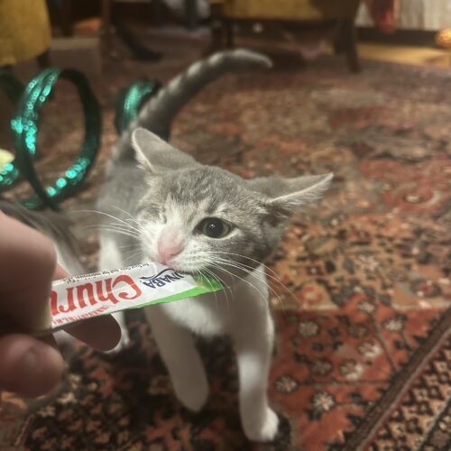 Celia Mae thumbnail 4