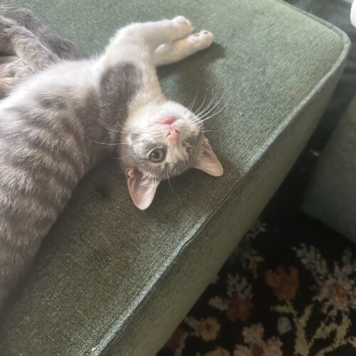 Celia Mae thumbnail 5