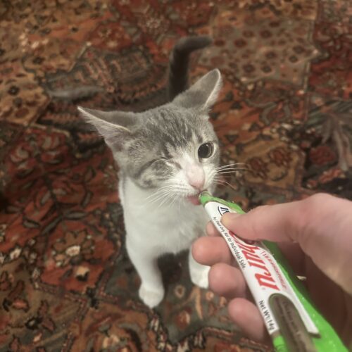 Celia Mae thumbnail 6