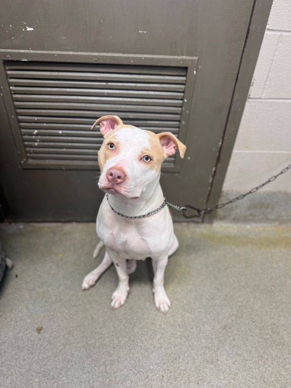 Stellayanna thumbnail 2