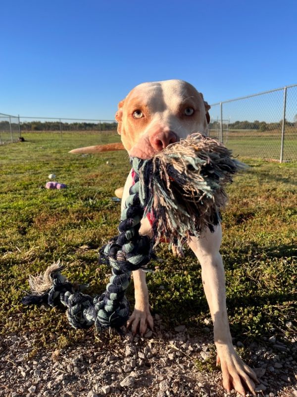 Stellayanna thumbnail 4