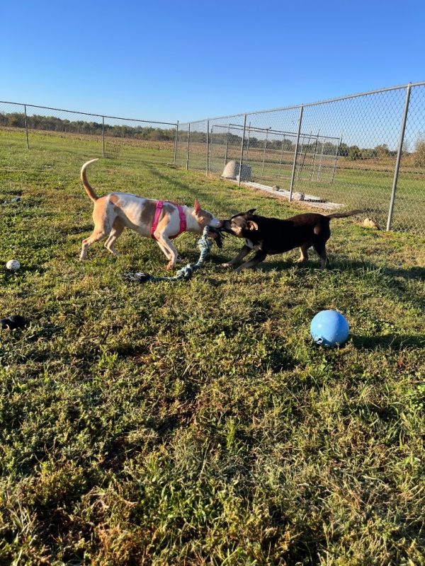 Stellayanna thumbnail 5