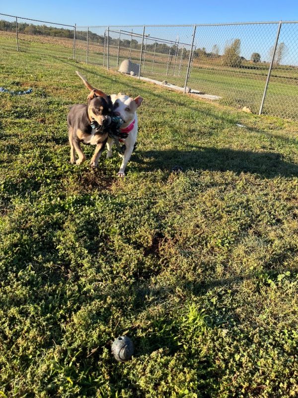 Stellayanna thumbnail 6