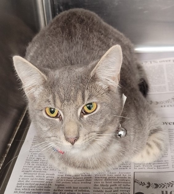 Minxellie thumbnail 2