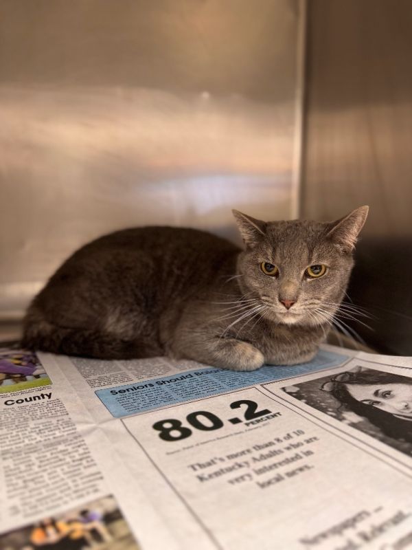 Minxellie thumbnail 3