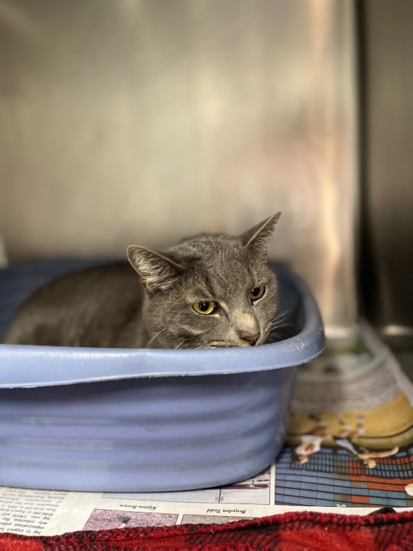 Minxellie thumbnail 4