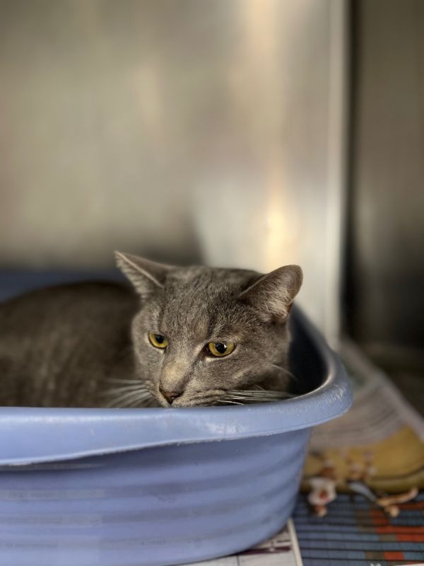 Minxellie thumbnail 5