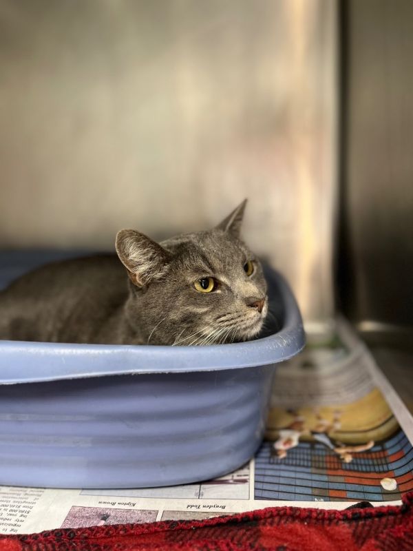 Minxellie thumbnail 6