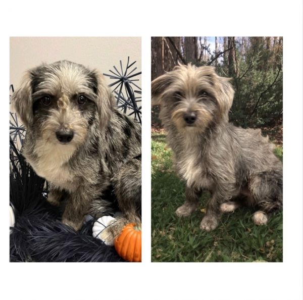 Camilla  Braylon photo 1