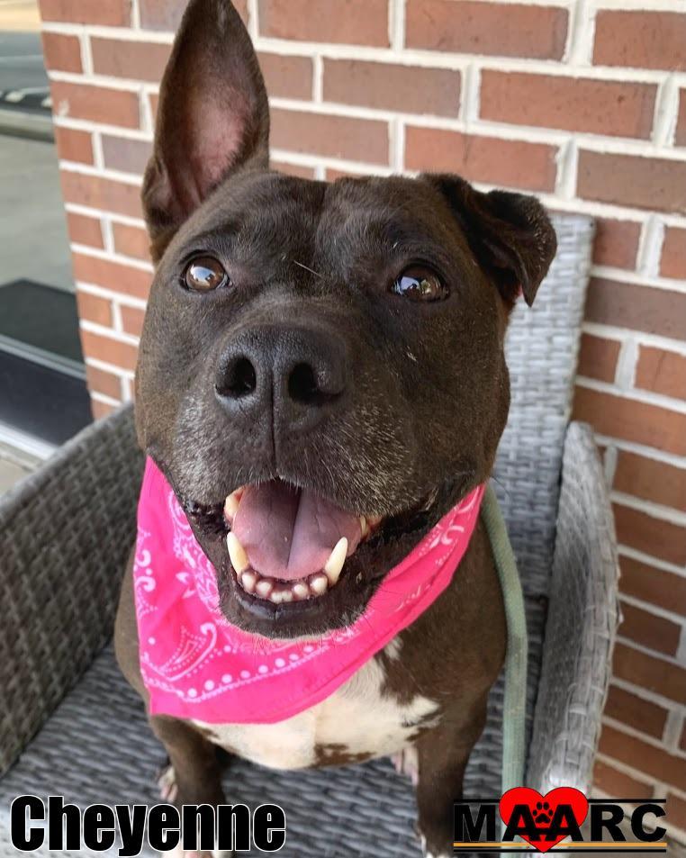 Cheyenne