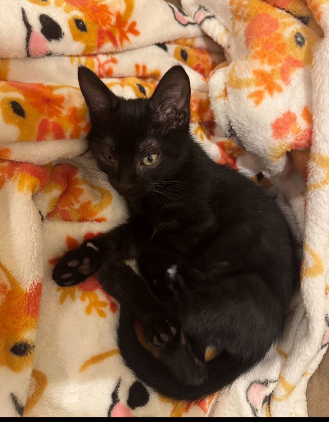 Salem