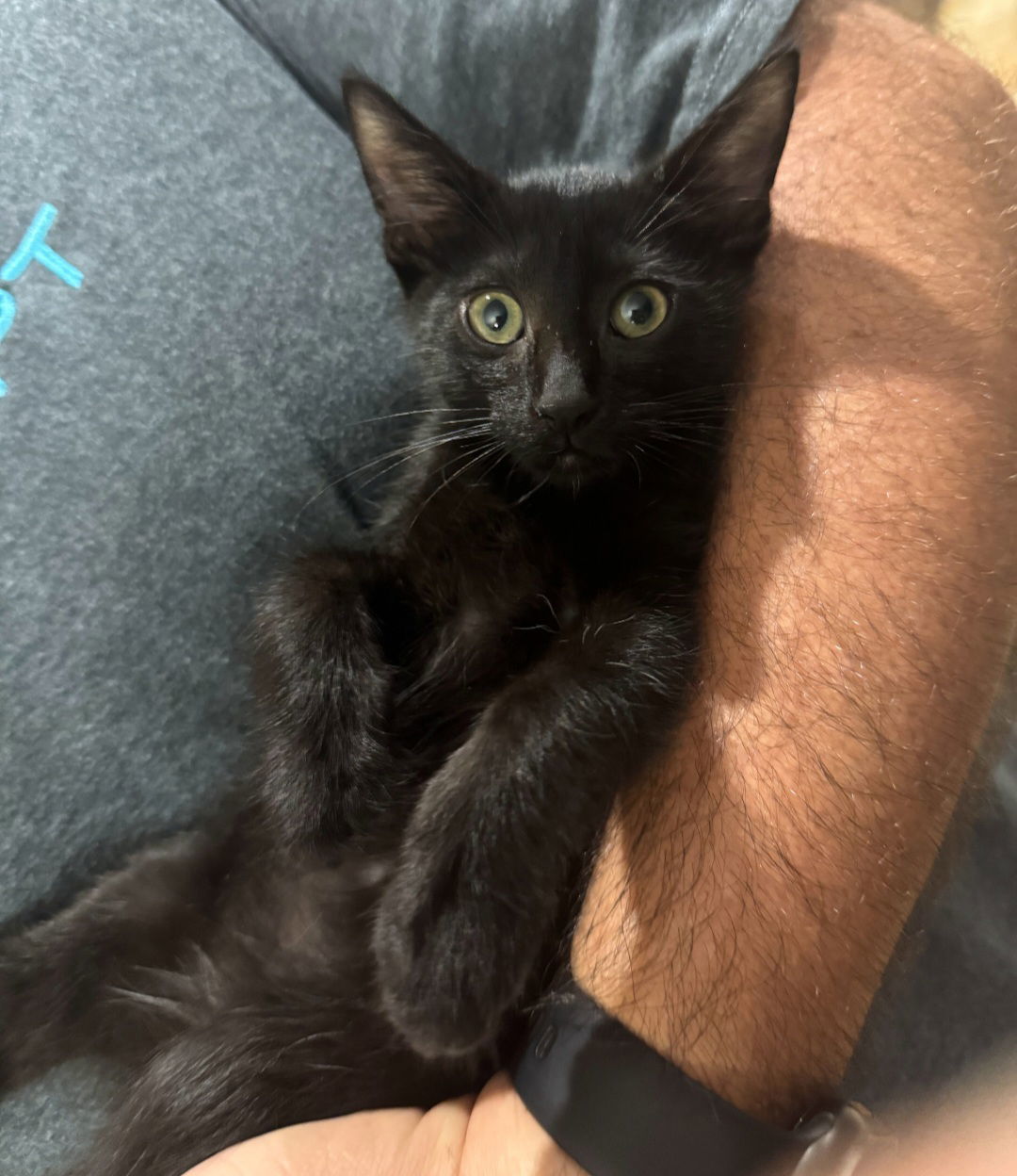 Binx