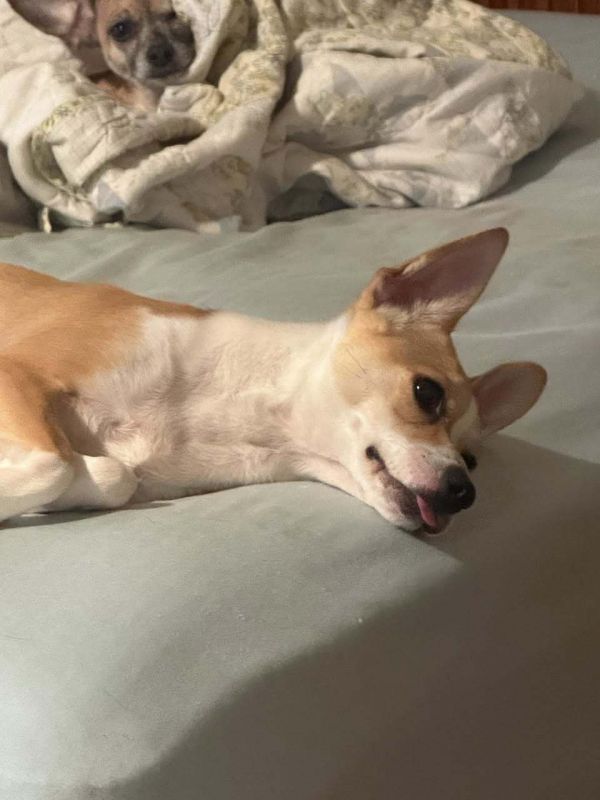 Little Bit thumbnail 3