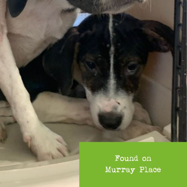 Baby Spice thumbnail 2