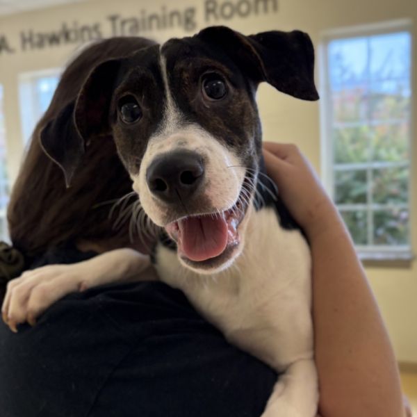 Baby Spice thumbnail 3