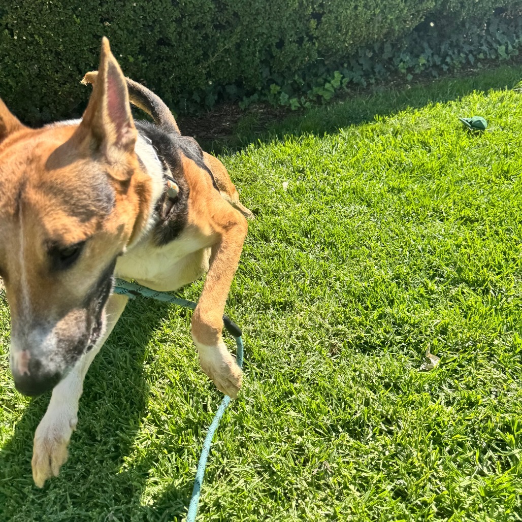 Barksdale (C000-502) - Chino Hills Location