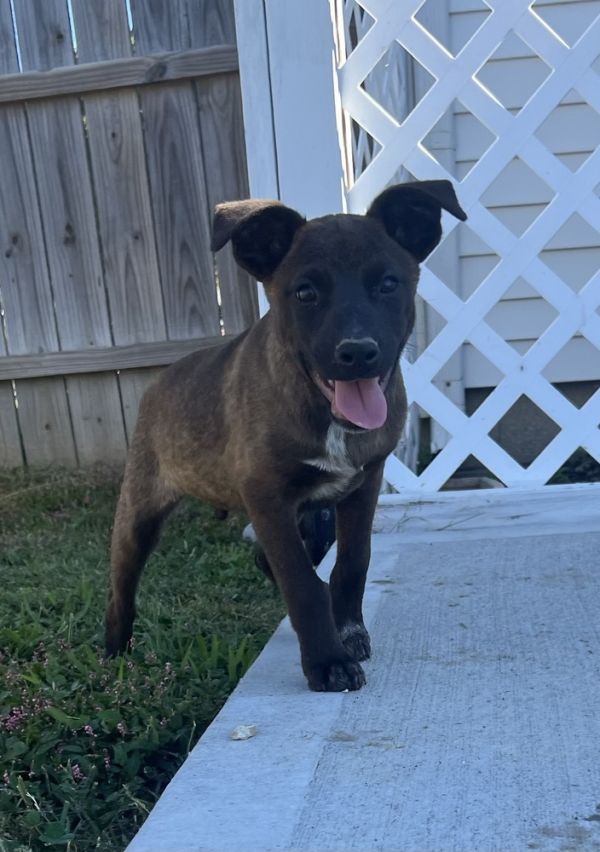 Alaska : Houston photo 1