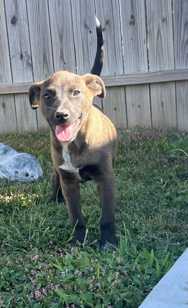 Alaska : Houston thumbnail 3