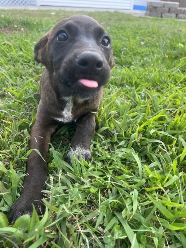 Alaska : Houston thumbnail 5