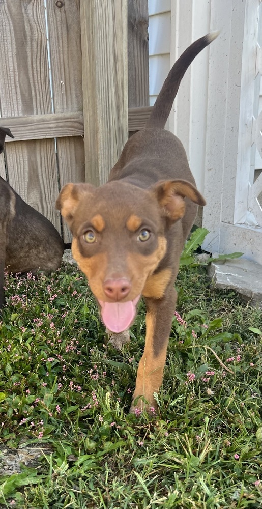 Alaska : Sutton photo 1