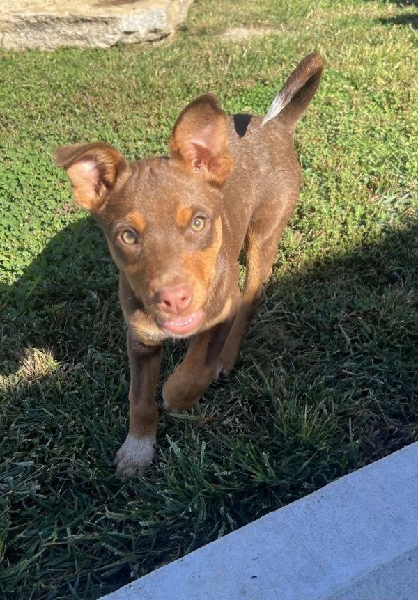 Alaska : Sutton thumbnail 2