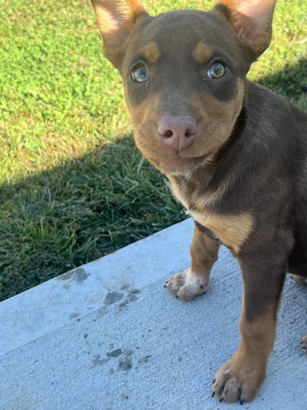 Alaska : Sutton thumbnail 3