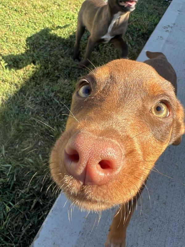 Alaska : Sutton thumbnail 4