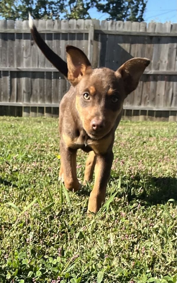 Alaska : Sutton thumbnail 5