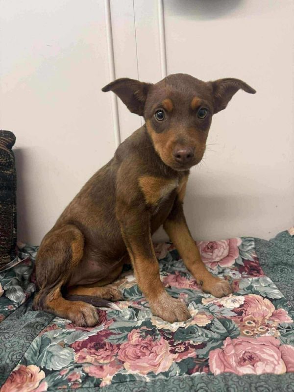 Alaska : Sutton thumbnail 6