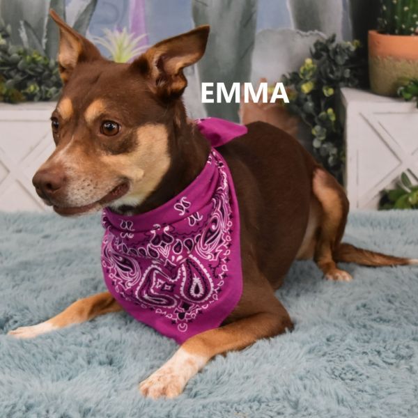 Emma photo 1