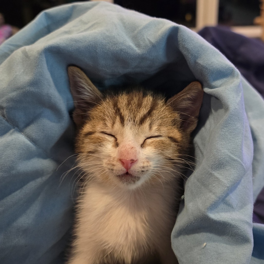 Skrungle the Hamchop