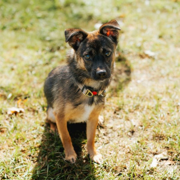 Tanppang Bonded To Geonppang photo 1