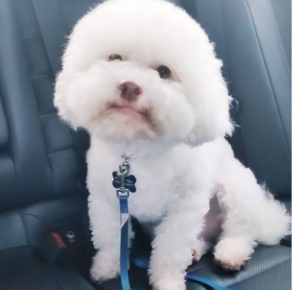 Alastair thumbnail 2