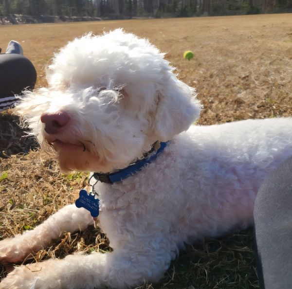 Alastair thumbnail 3