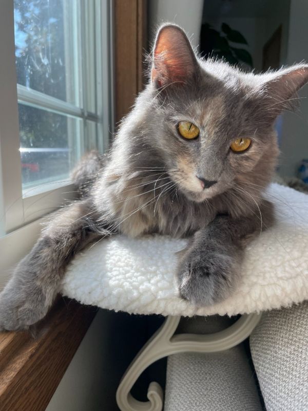 Mama Mia thumbnail 4