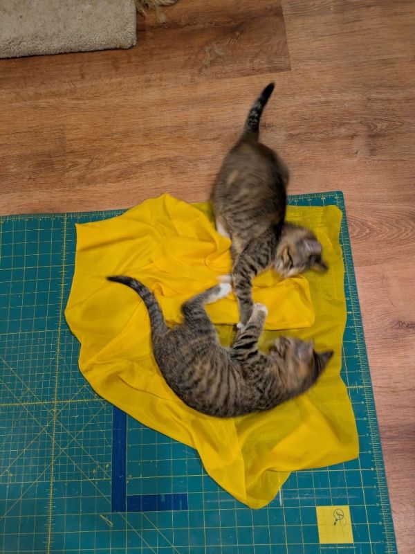 Rhett  Calliope thumbnail 3