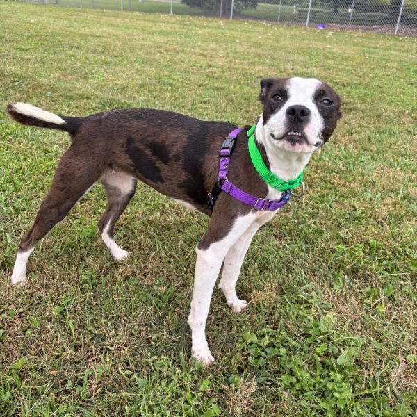 Manhattan thumbnail 2