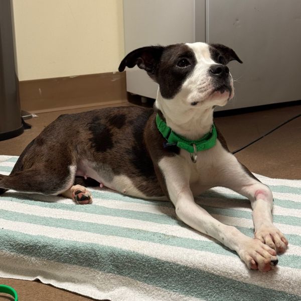 Manhattan thumbnail 3