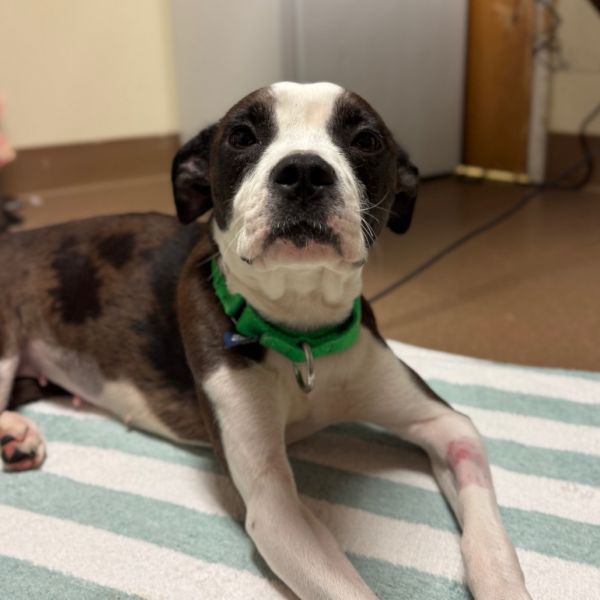 Manhattan thumbnail 4