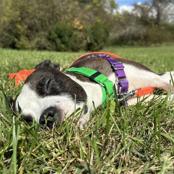 Manhattan thumbnail 5