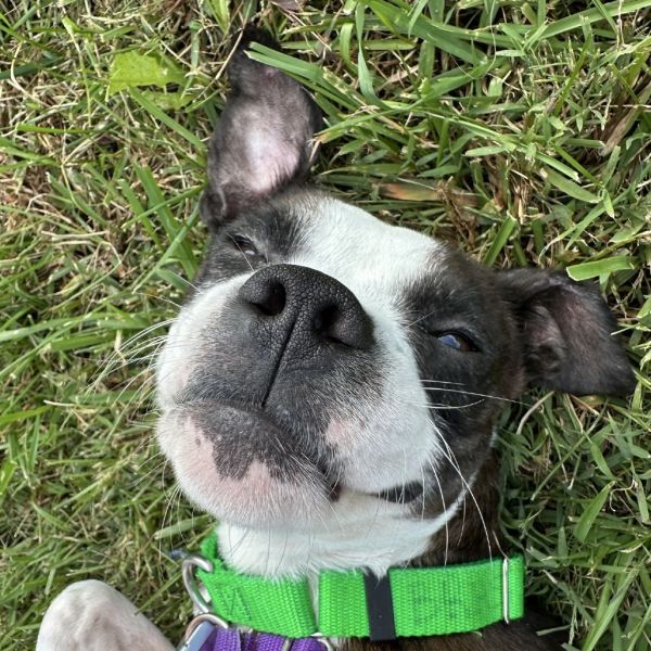 Manhattan thumbnail 6