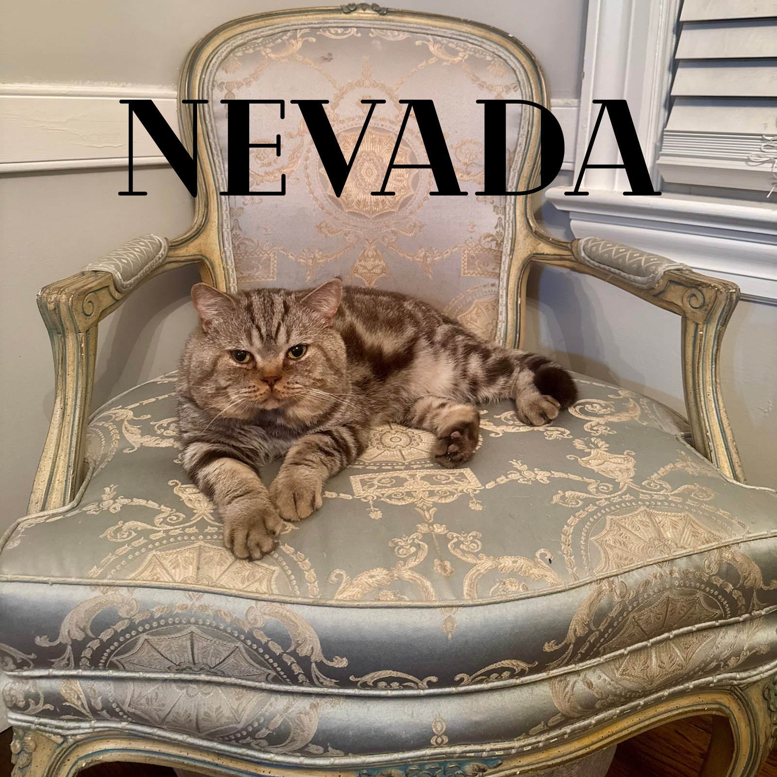 Nevada
