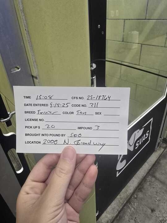 Charlie, an adoptable Mixed Breed in Minot, ND, 58702 | Photo Image 3