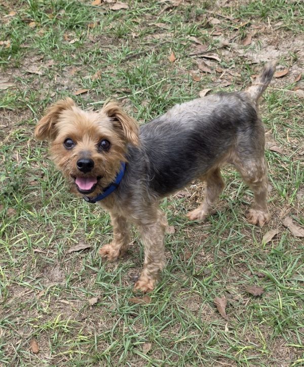 Harry Aka Harrison photo 1