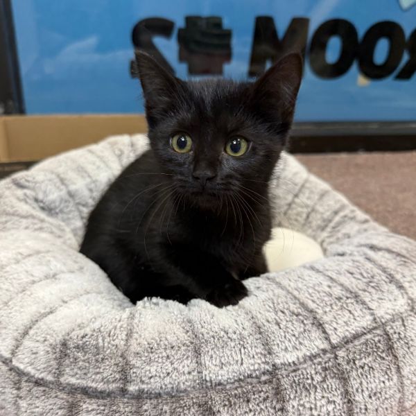 Aphrodite thumbnail 2