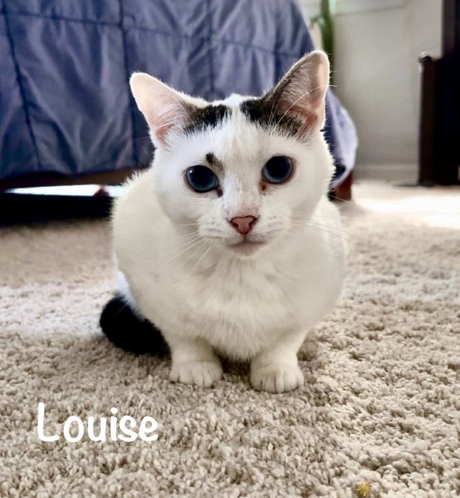 Louise