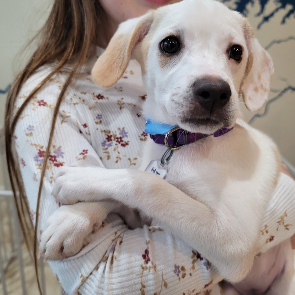 Little Athena