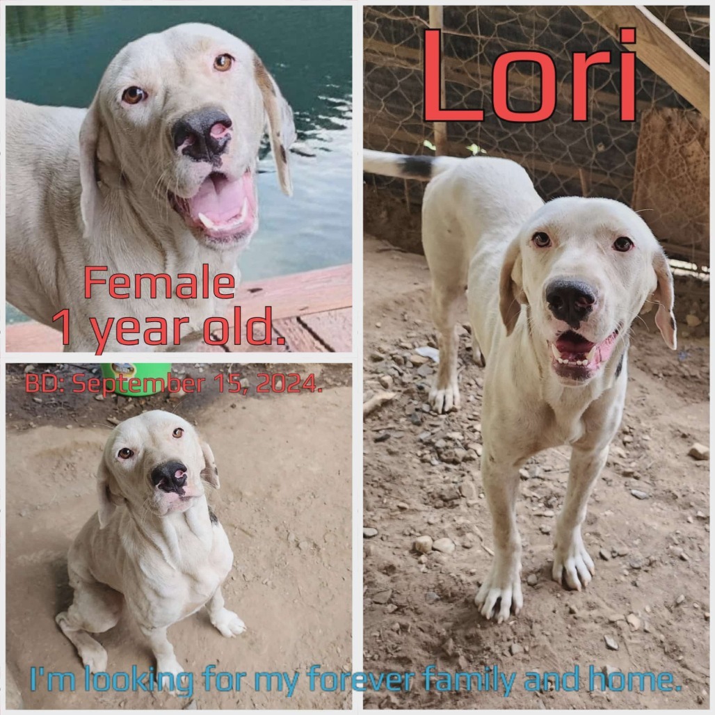 Lori