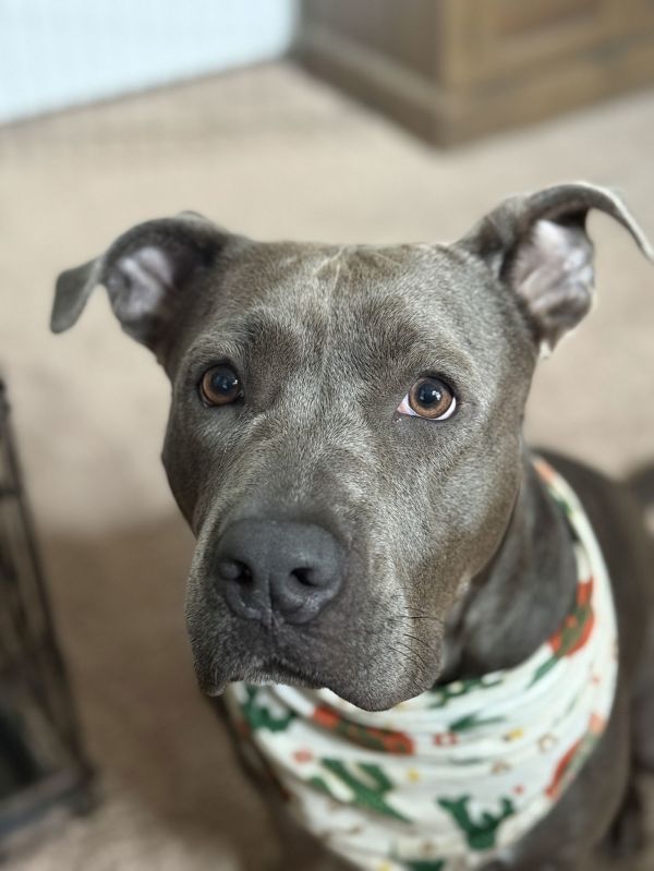 Maggie May Ii photo 1