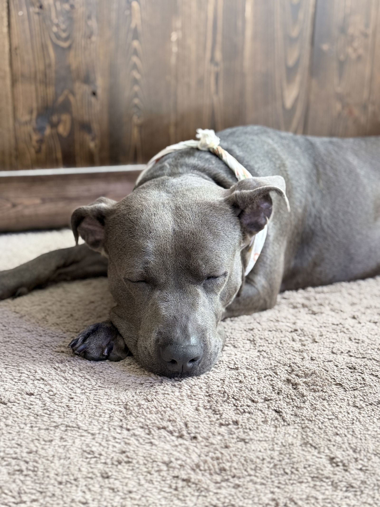 Maggie May II (New Digs)